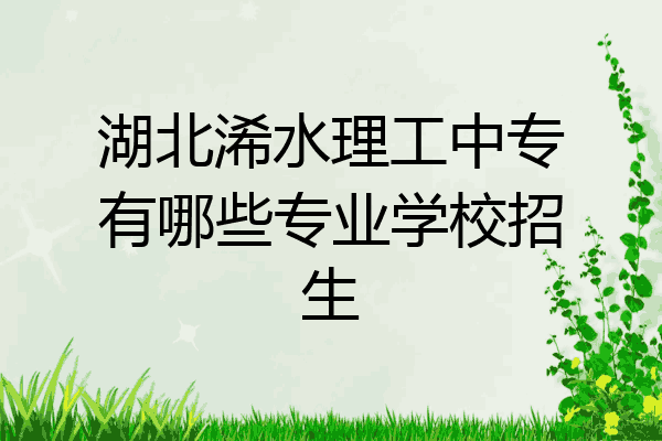 湖北浠水理工中专有哪些专业学校招生