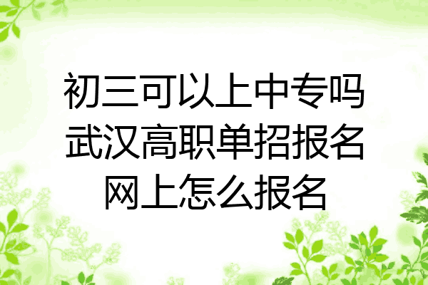 初三可以上中专吗武汉高职单招报名网上怎么报名