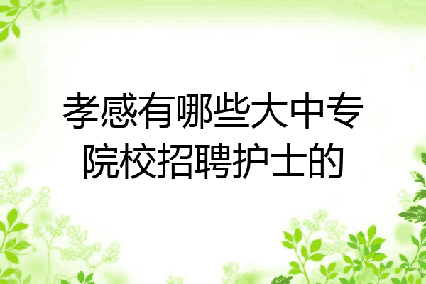 孝感有哪些大中专院校招聘护士的
