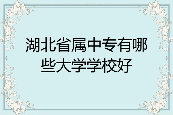 湖北省属中专有哪些大学学校好