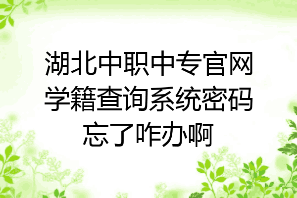 湖北中职中专官网学籍查询系统密码忘了咋办啊