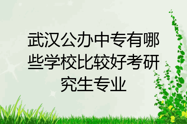 武汉公办中专有哪些学校比较好考研究生专业