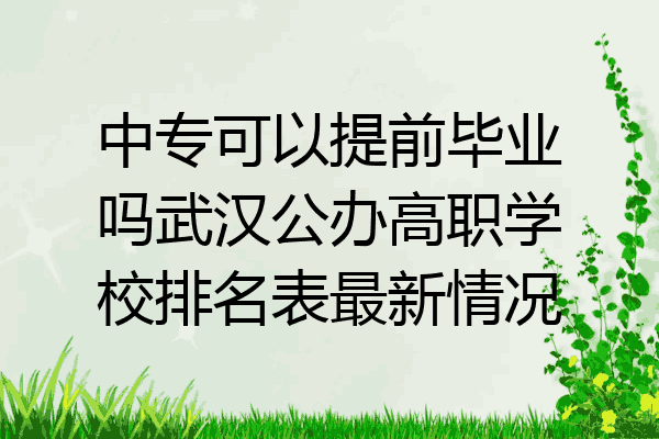 中专可以提前毕业吗武汉公办高职学校排名表最新情况