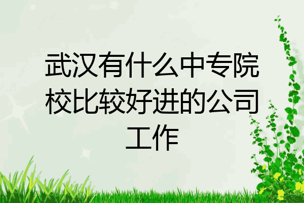 武汉有什么中专院校比较好进的公司工作