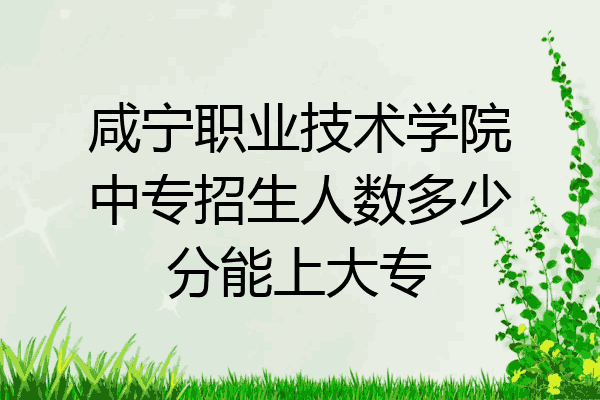 咸宁职业技术学院中专招生人数多少分能上大专