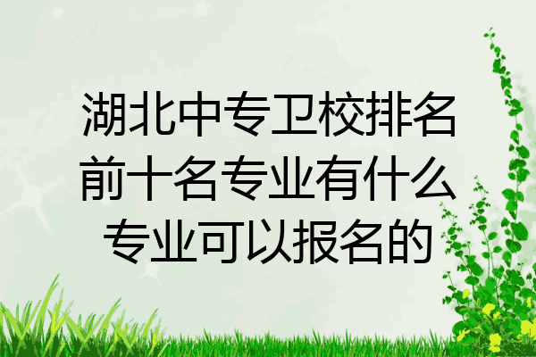 湖北中专卫校排名前十名专业有什么专业可以报名的