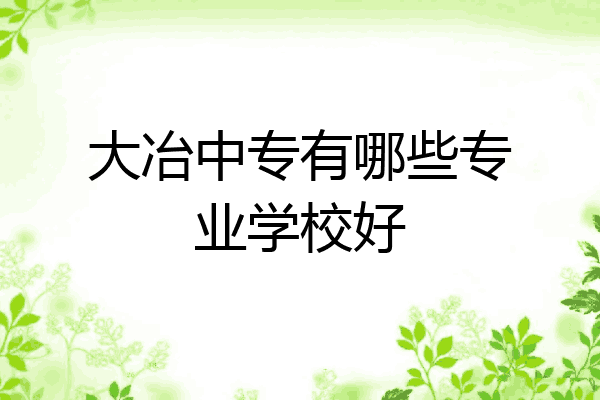 大冶中专有哪些专业学校好