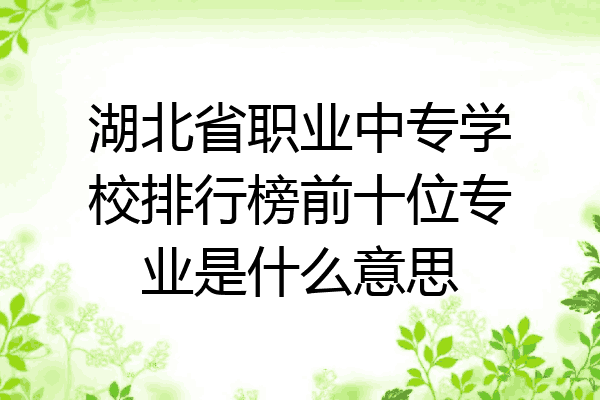 湖北省职业中专学校排行榜前十位专业是什么意思