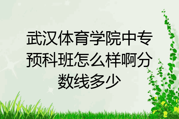 武汉体育学院中专预科班怎么样啊分数线多少