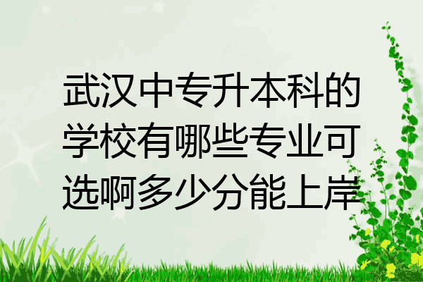 武汉中专升本科的学校有哪些专业可选啊多少分能上岸