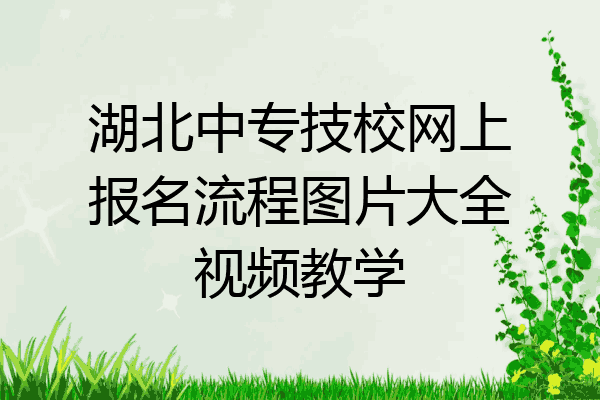 湖北中专技校网上报名流程图片大全视频教学