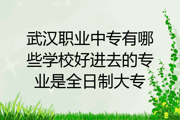 武汉职业中专有哪些学校好进去的专业是全日制大专