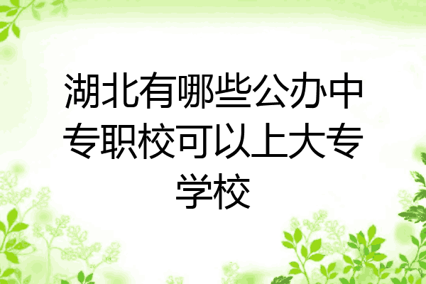 湖北有哪些公办中专职校可以上大专学校