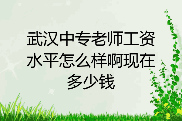 武汉中专老师工资水平怎么样啊现在多少钱