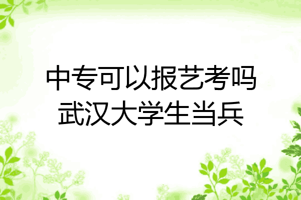 中专可以报艺考吗武汉大学生当兵