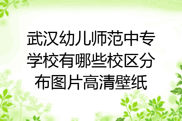 武汉幼儿师范中专学校有哪些校区分布图片高清壁纸