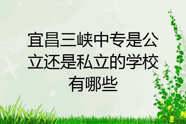 宜昌三峡中专是公立还是私立的学校有哪些