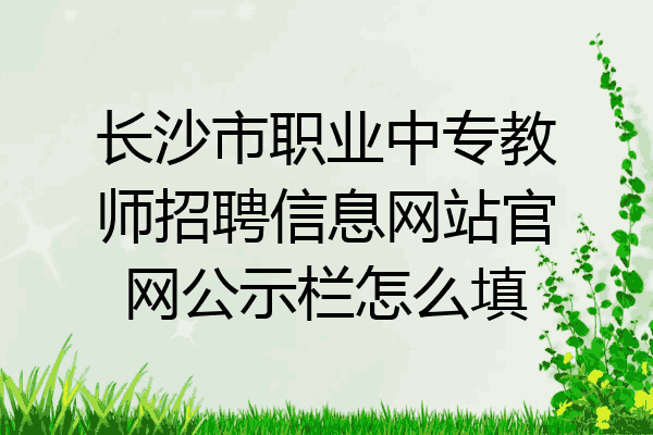 长沙市职业中专教师招聘信息网站官网公示栏怎么填