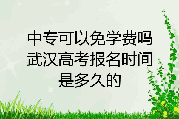 中专可以免学费吗武汉高考报名时间是多久的