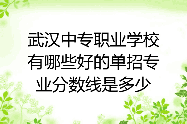 武汉中专职业学校有哪些好的单招专业分数线是多少