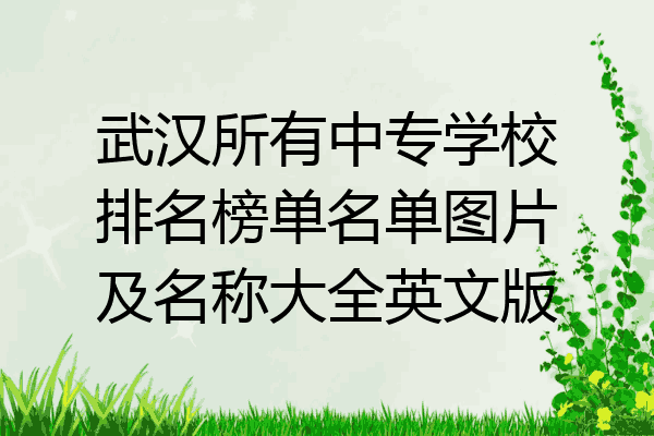 武汉所有中专学校排名榜单名单图片及名称大全英文版