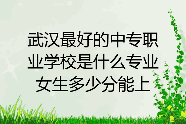 武汉最好的中专职业学校是什么专业女生多少分能上