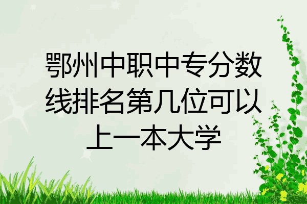 鄂州中职中专分数线排名第几位可以上一本大学