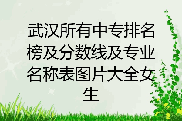 武汉所有中专排名榜及分数线及专业名称表图片大全女生