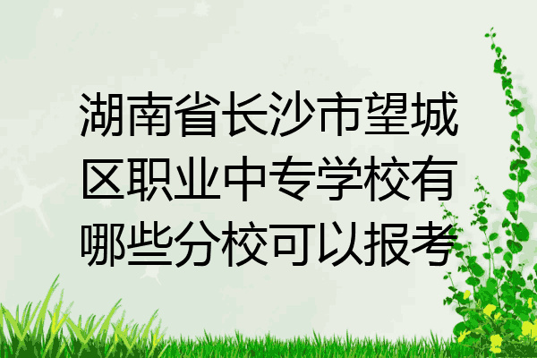 湖南省长沙市望城区职业中专学校有哪些分校可以报考