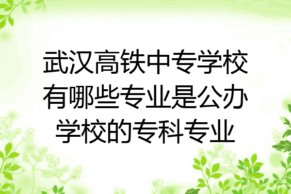 武汉高铁中专学校有哪些专业是公办学校的专科专业