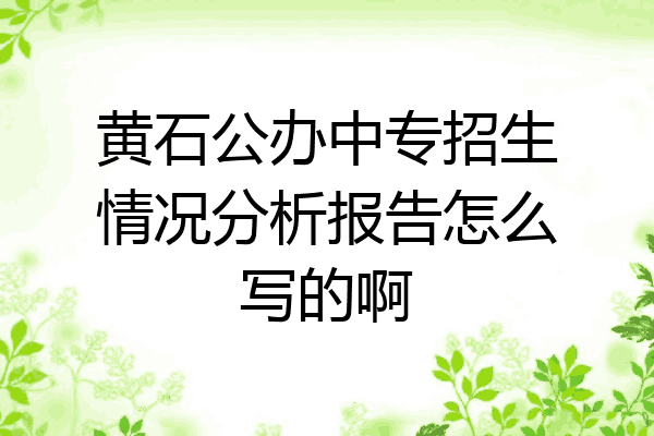 黄石公办中专招生情况分析报告怎么写的啊