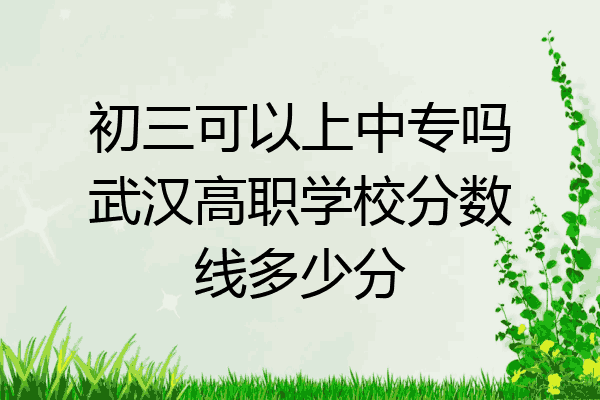 初三可以上中专吗武汉高职学校分数线多少分