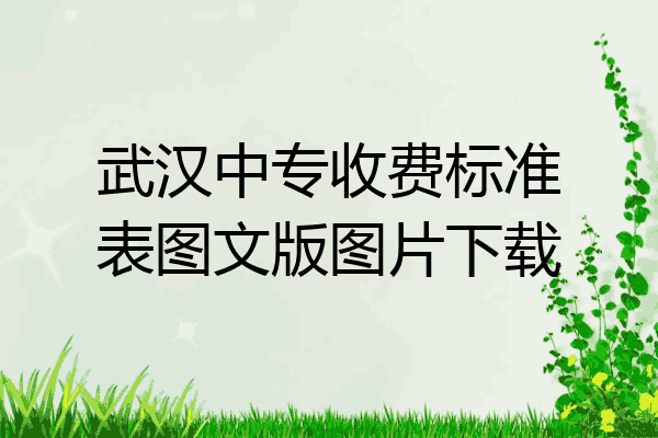 武汉中专收费标准表图文版图片下载
