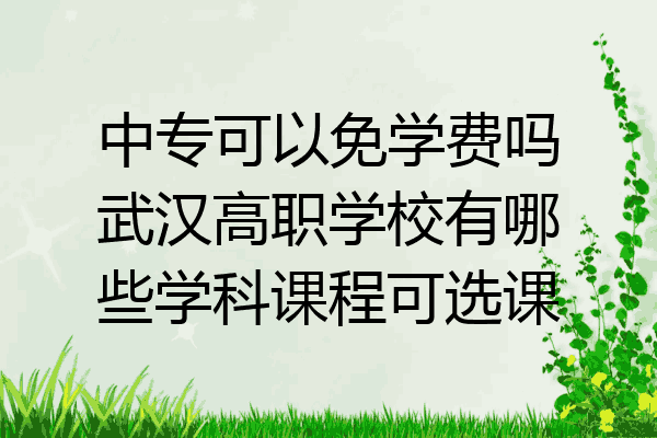 中专可以免学费吗武汉高职学校有哪些学科课程可选课