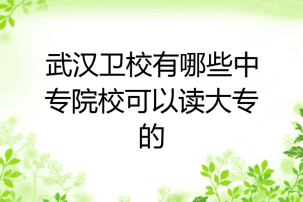 武汉卫校有哪些中专院校可以读大专的