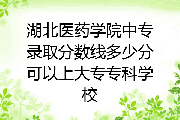 湖北医药学院中专录取分数线多少分可以上大专专科学校