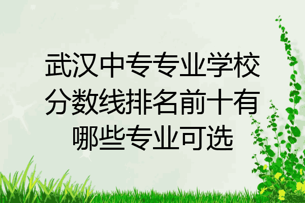 武汉中专专业学校分数线排名前十有哪些专业可选