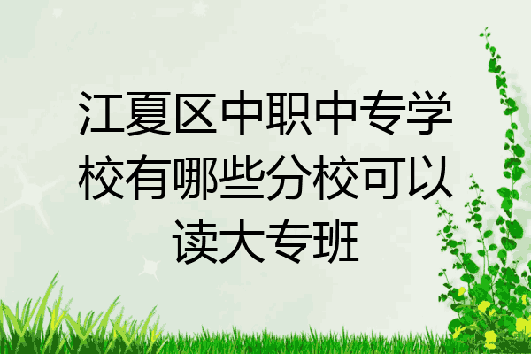 江夏区中职中专学校有哪些分校可以读大专班