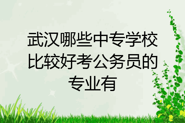 武汉哪些中专学校比较好考公务员的专业有
