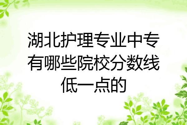 湖北护理专业中专有哪些院校分数线低一点的