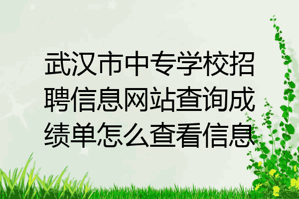 武汉市中专学校招聘信息网站查询成绩单怎么查看信息