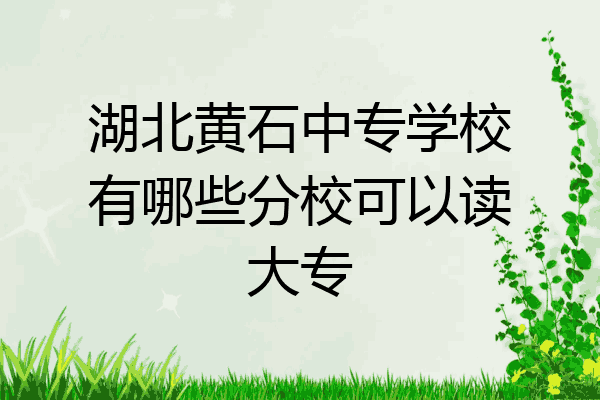 湖北黄石中专学校有哪些分校可以读大专