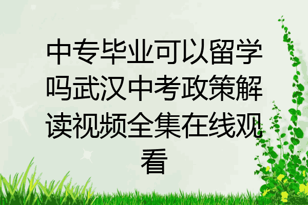 中专毕业可以留学吗武汉中考政策解读视频全集在线观看