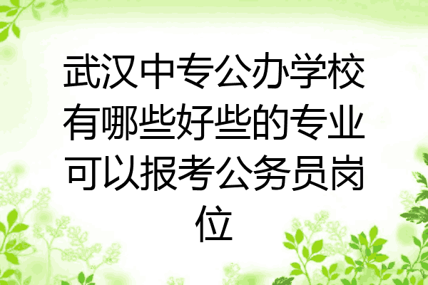 武汉中专公办学校有哪些好些的专业可以报考公务员岗位