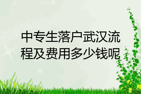 中专生落户武汉流程及费用多少钱呢