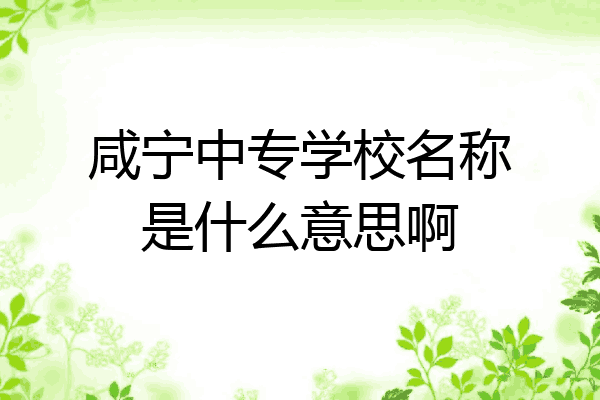 咸宁中专学校名称是什么意思啊