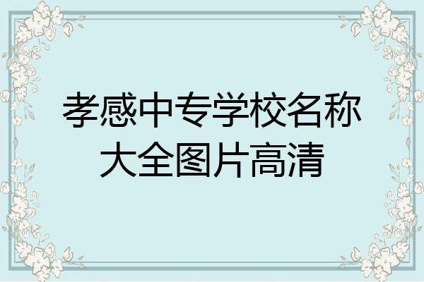 孝感中专学校名称大全图片高清