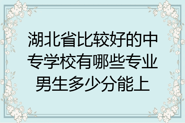 湖北省比较好的中专学校有哪些专业男生多少分能上