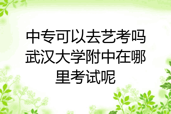 中专可以去艺考吗武汉大学附中在哪里考试呢