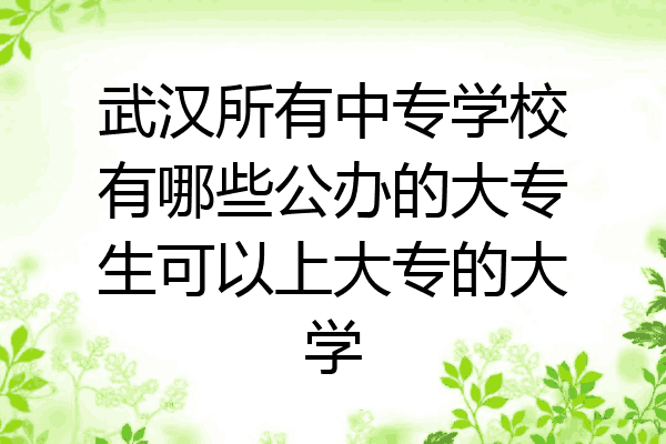武汉所有中专学校有哪些公办的大专生可以上大专的大学